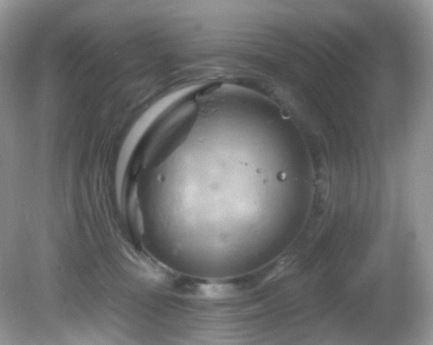 X0000083040371200702021158