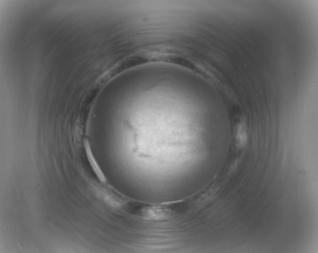 X0000083040372200702021158