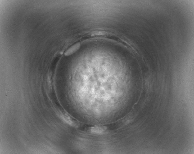 X0000083040373200702021158