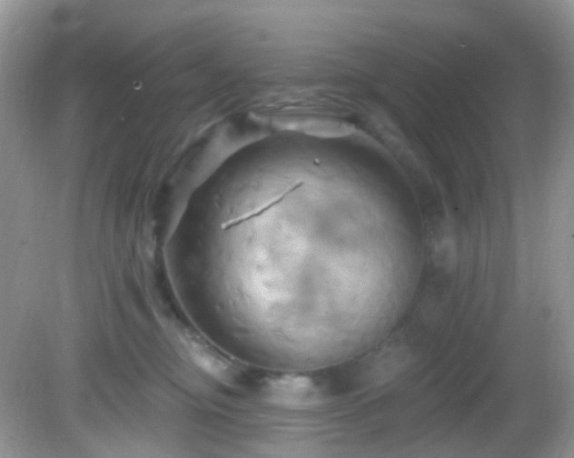 X0000083040374200702021158