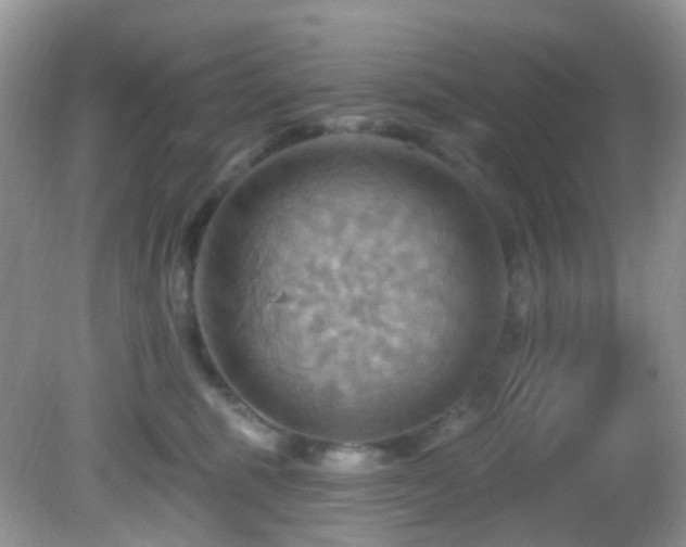 X0000083040375200702021158