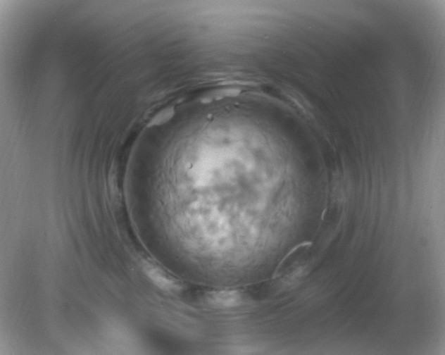 X0000083040377200702021158