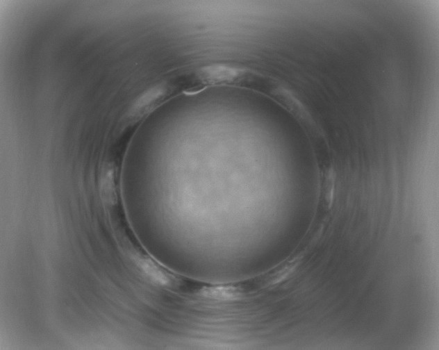 X0000083040378200702021158