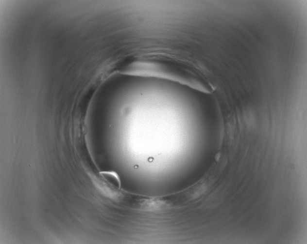 X0000083040379200702021158