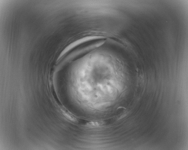 X0000083040381200702021158