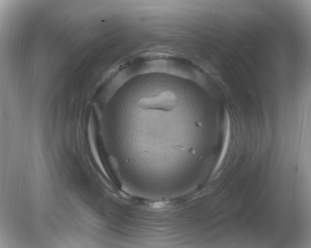 X0000083040382200702021158