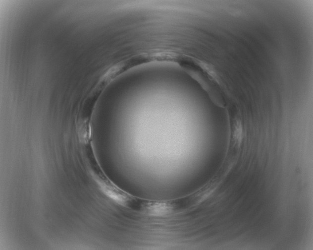 X0000083040383200702021158