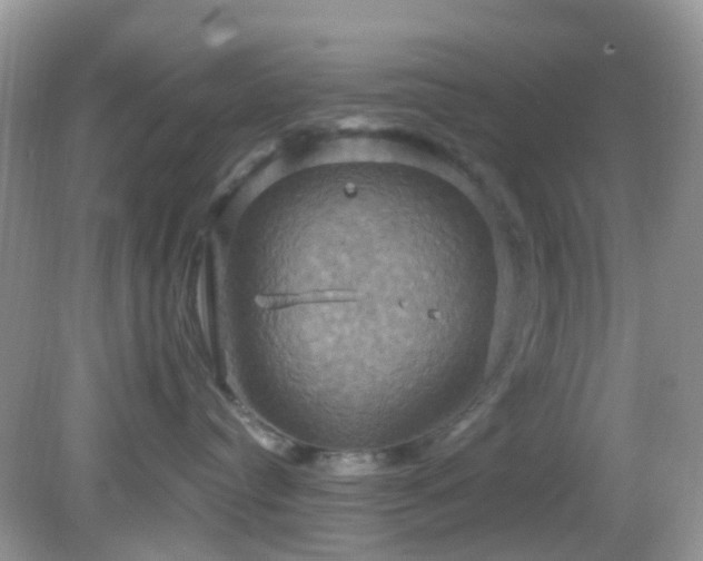 X0000083040384200702021158