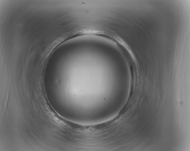 X0000083040385200702021157