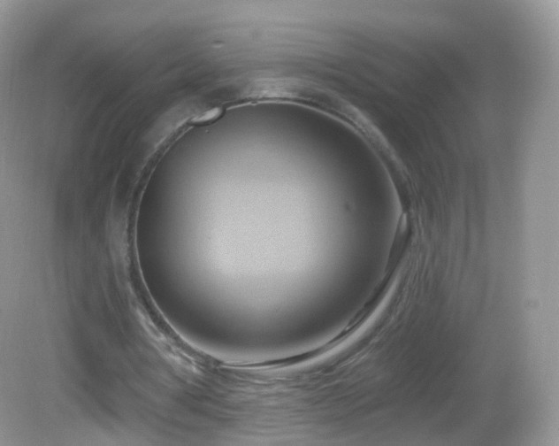 X0000083040386200702021157