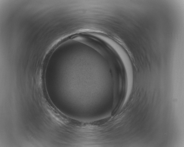 X0000083040387200702021157