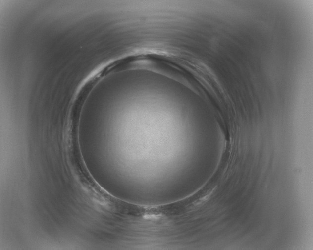 X0000083040388200702021157