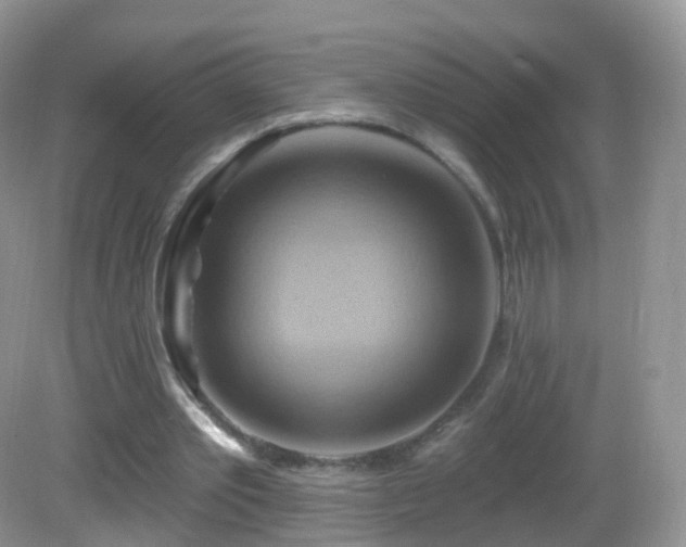 X0000083040389200702021157