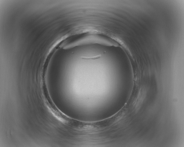 X0000083040390200702021157