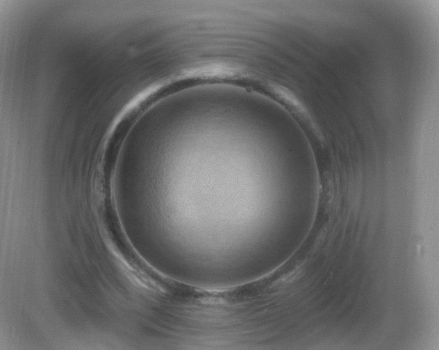 X0000083040392200702021157