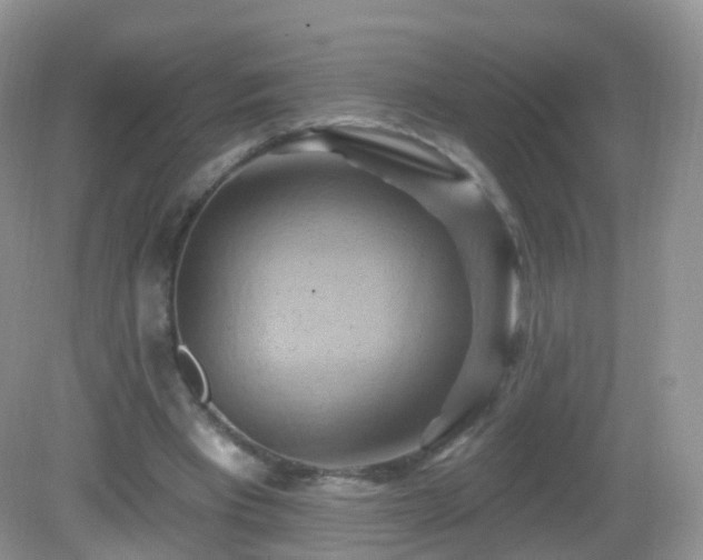 X0000083040393200702021157