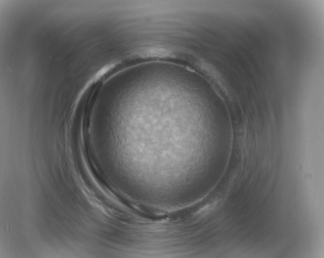 X0000083040395200702021157