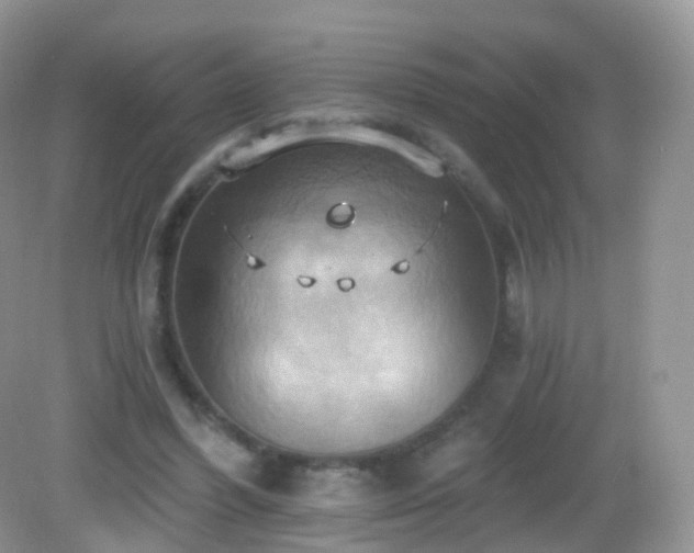 X0000083040396200702021157