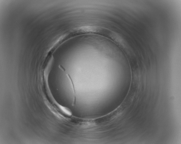 X0000083040398200702021157