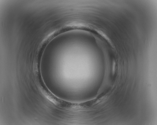 X0000083040399200702021157