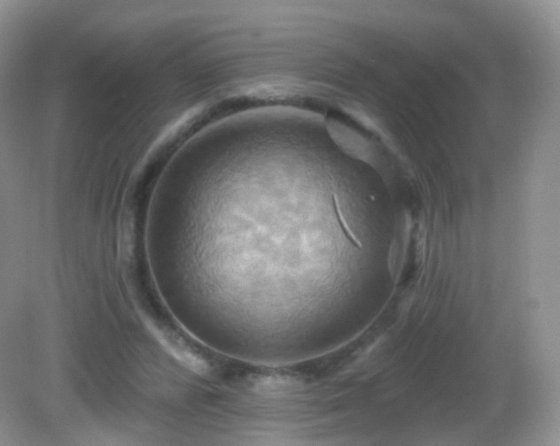 X0000083040400200702021157