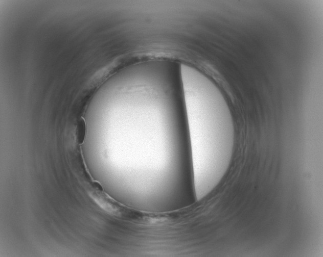 X0000083040401200702021157