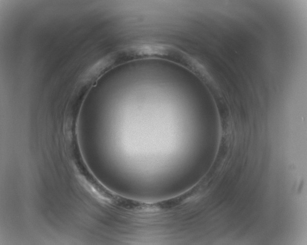 X0000083040402200702021157