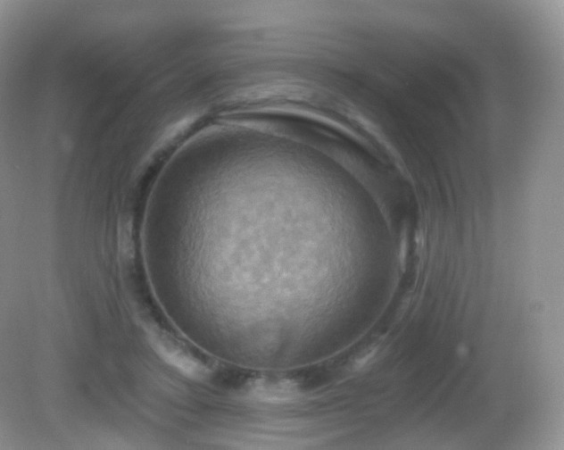 X0000083040403200702021157