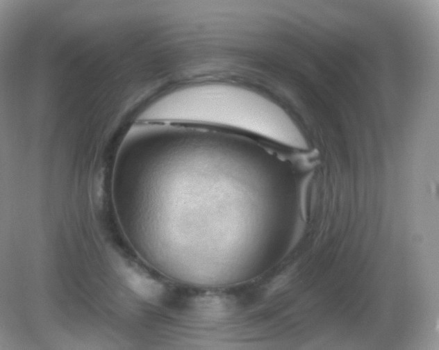 X0000083040404200702021157