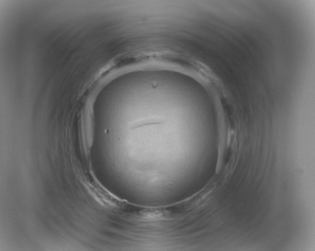 X0000083040405200702021157