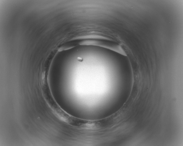 X0000083040406200702021157