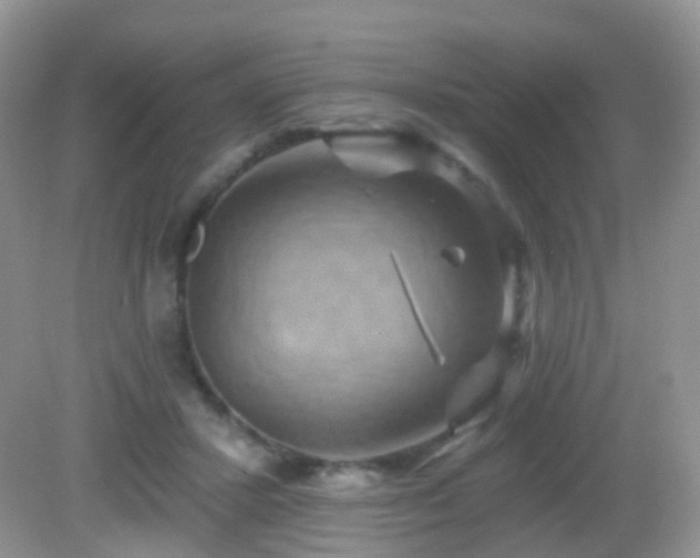 X0000083040407200702021157