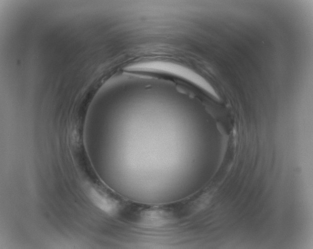 X0000083040408200702021157