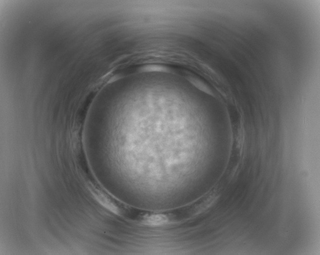 X0000083040409200702021157