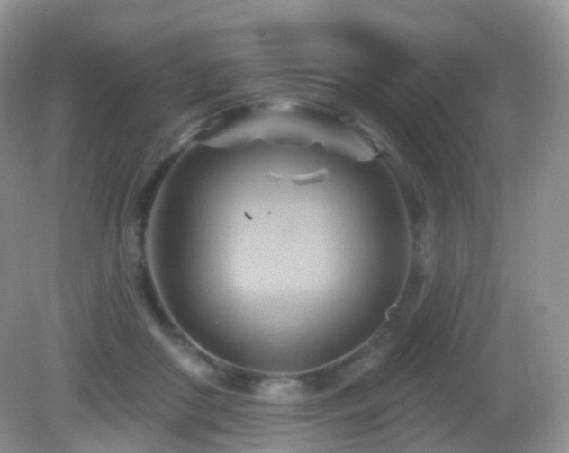 X0000083040410200702021157