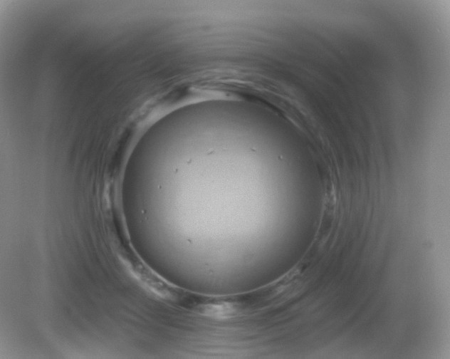 X0000083040411200702021157