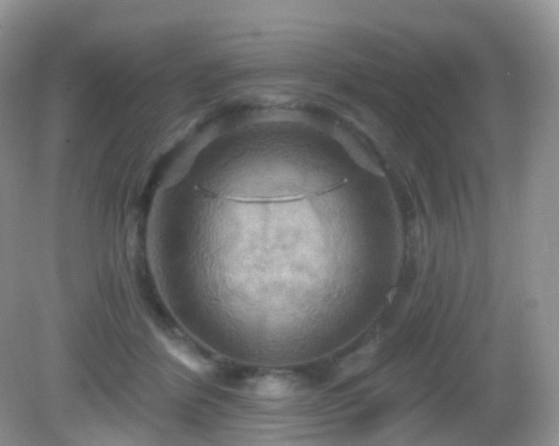 X0000083040412200702021157