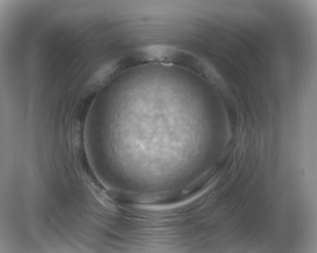 X0000083040413200702021157