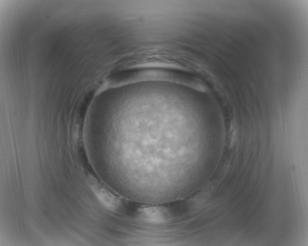 X0000083040417200702021157