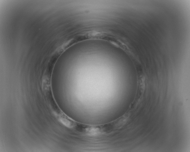 X0000083040419200702021157