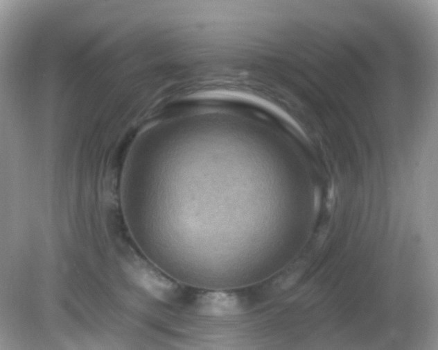 X0000083040421200702021157