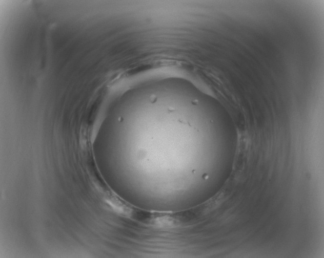 X0000083040423200702021157