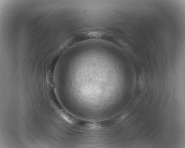 X0000083040424200702021157