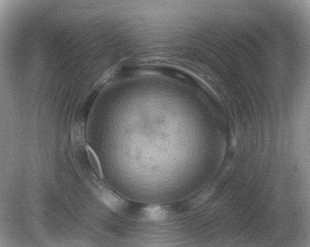 X0000083040425200702021157