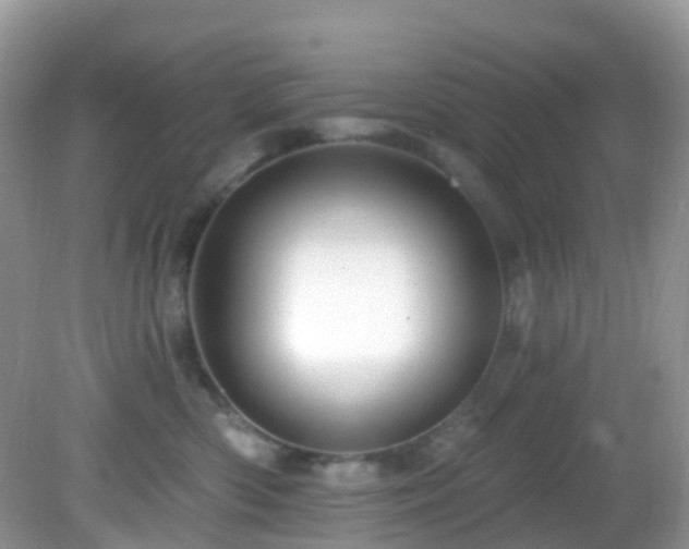 X0000083040426200702021157