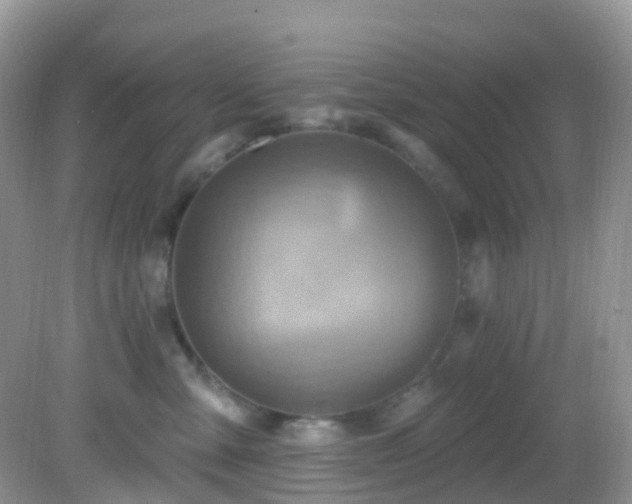 X0000083040427200702021157