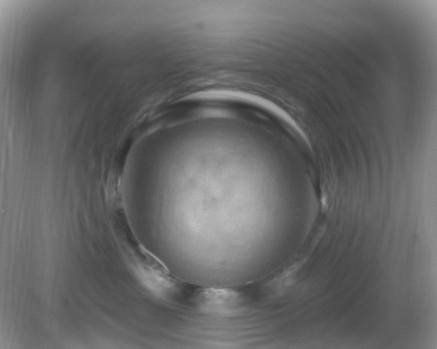 X0000083040429200702021157