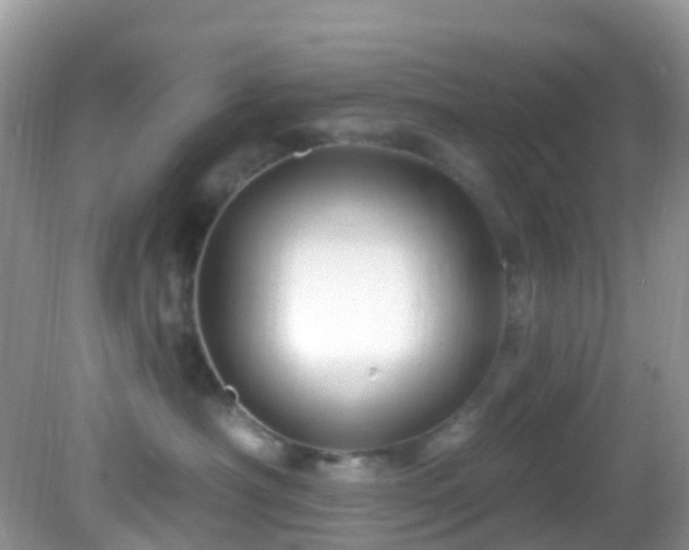 X0000083040430200702021156