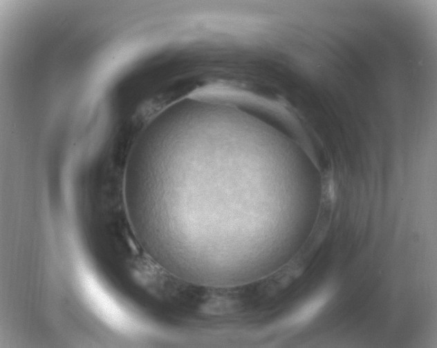 X0000083040431200702021156