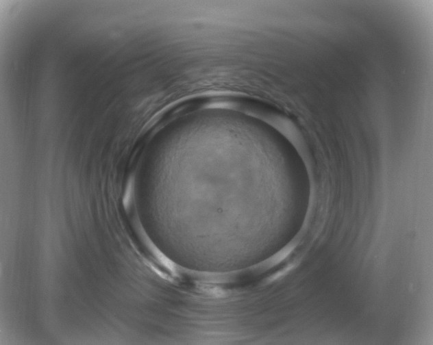 X0000083040432200702021156